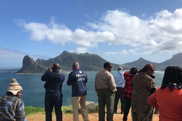 All in One African Penguins and Wine Tasting  - Photo 1 of 16